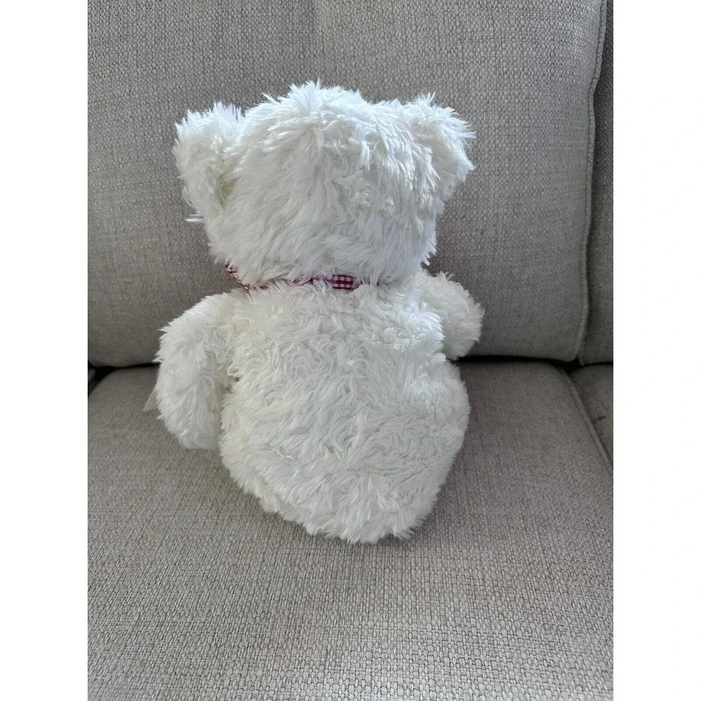 Hallmark Plush From My‎ Heart Stuffed Soft Teddy Bear Trinket Bag Valentine NEW